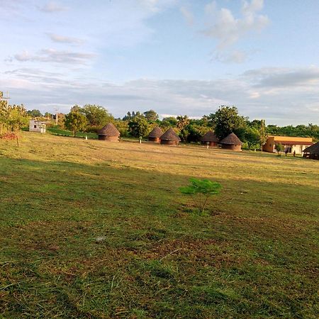 Grassroots Cottages Murchsion Falls Purongo Exteriér fotografie