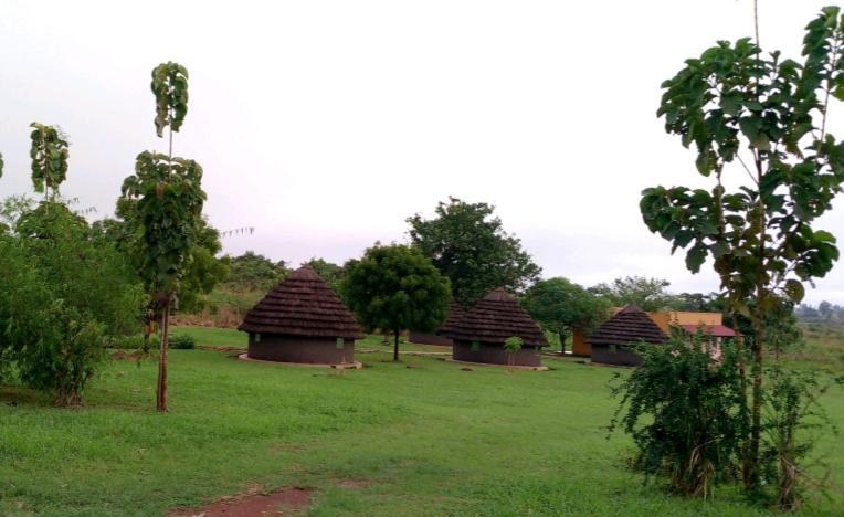 Grassroots Cottages Murchsion Falls Purongo Exteriér fotografie