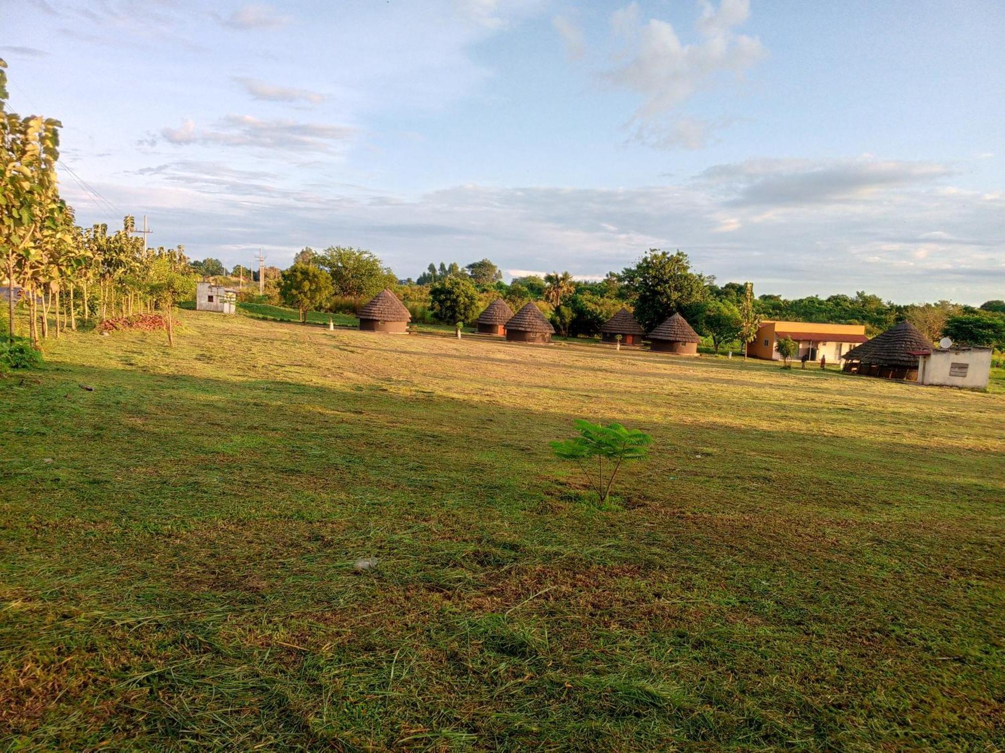 Grassroots Cottages Murchsion Falls Purongo Exteriér fotografie